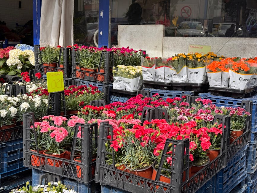A display of various potted flowers arranged on black plastic crates outside a florist shop. The flowers include pink, red, white, yellow, and orange blooms, with some in white paper wrapping and othe
